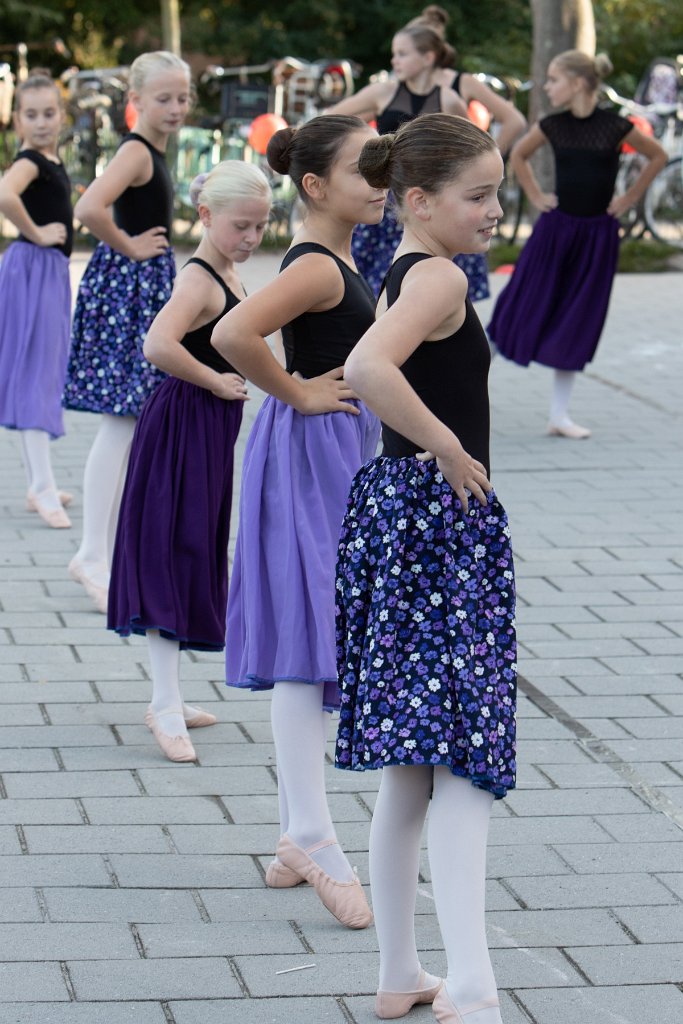 Schoolplein Festival A075.jpg